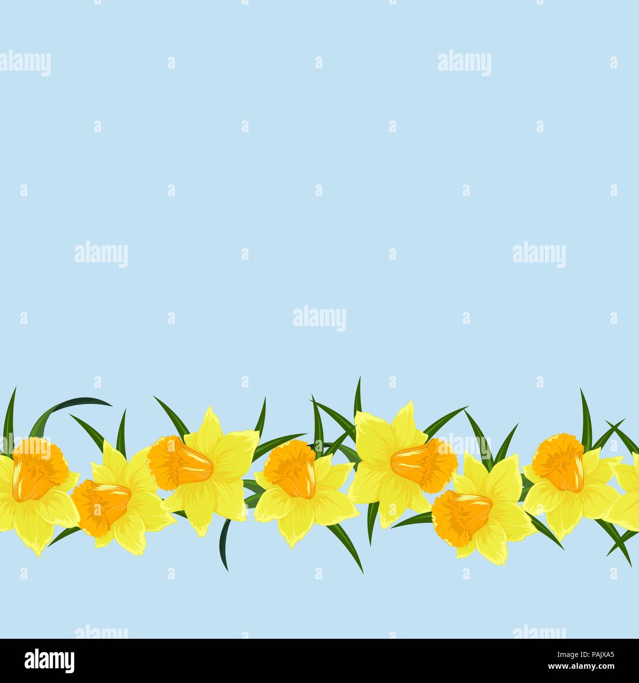 Colored floral seamles pattern with flowers in botanical style on a white background. Seamless line narcissus. Stock line vector illustration. Stock Vector