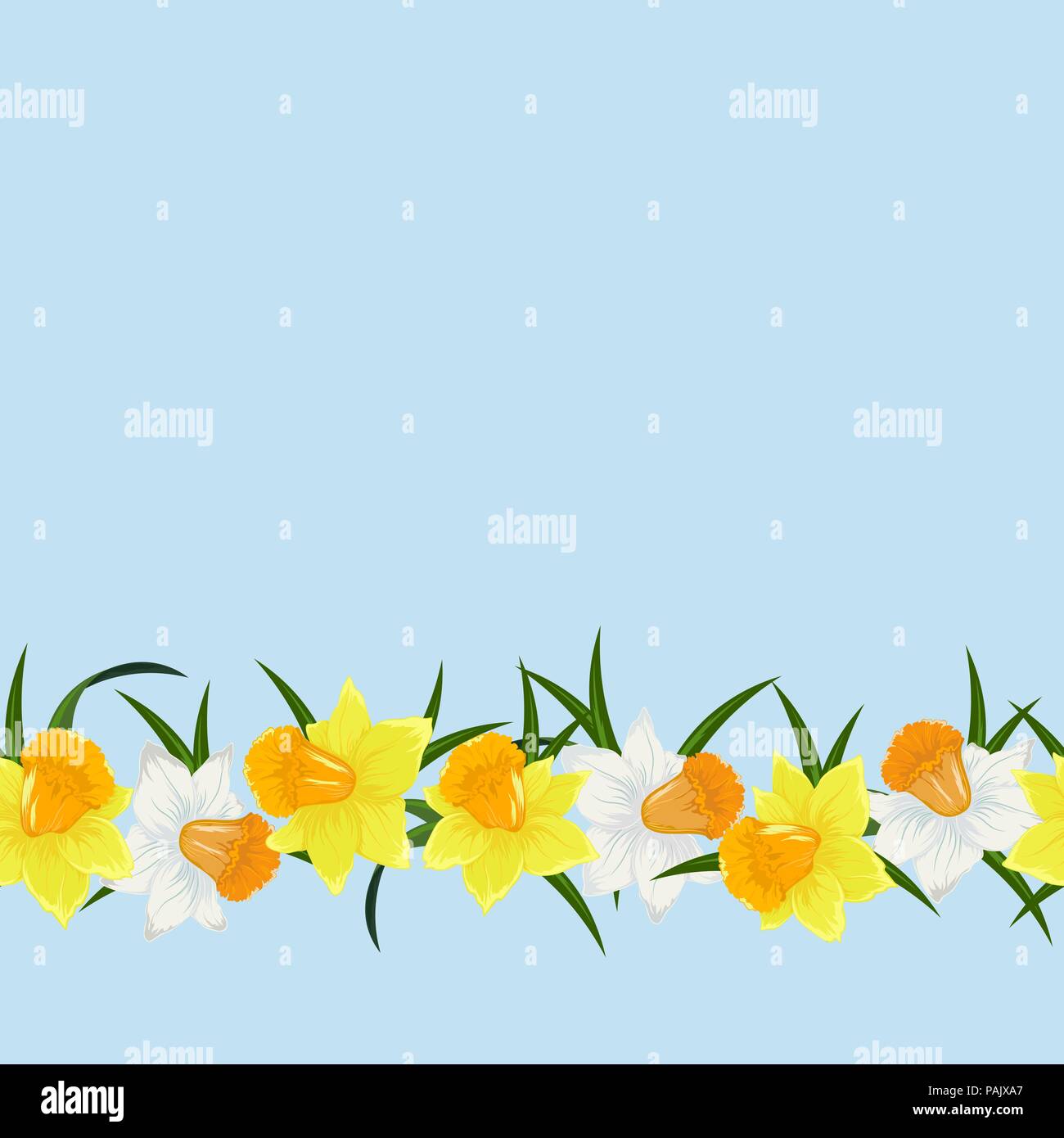 Colored floral seamles pattern with flowers in botanical style on a white background. Seamless line narcissus. Stock line vector illustration. Stock Vector