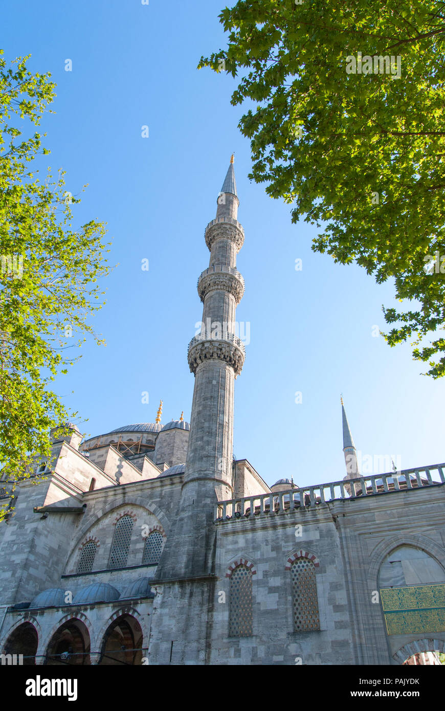 The Blue Mosque, Sultanahmet Camii , Istanbul Turkey Stock Photo - Alamy