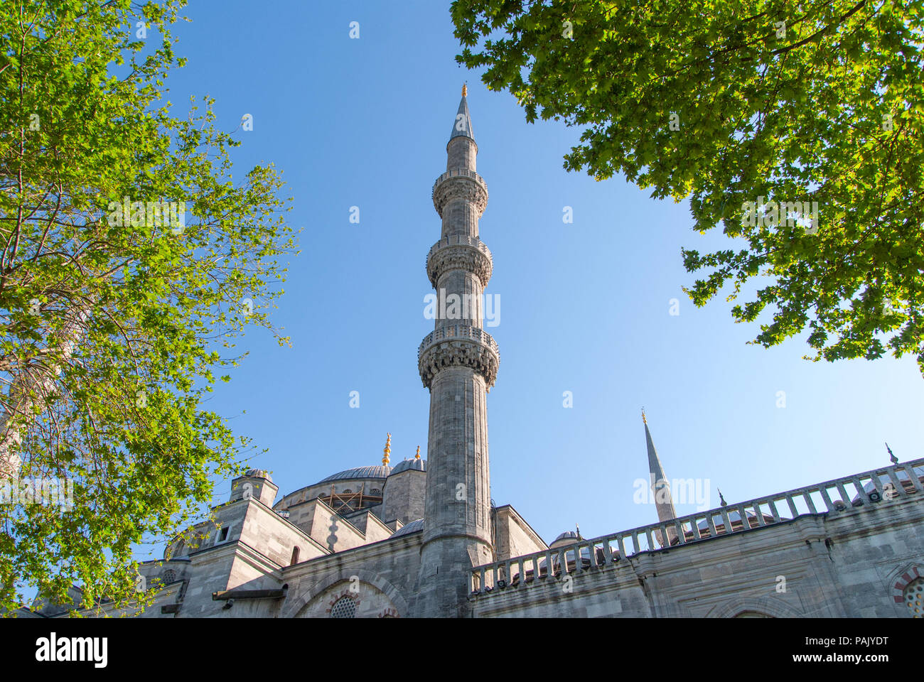 The Blue Mosque, Sultanahmet Camii , Istanbul Turkey Stock Photo - Alamy