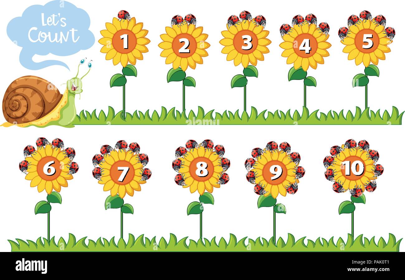 numeracy clipart of flowers