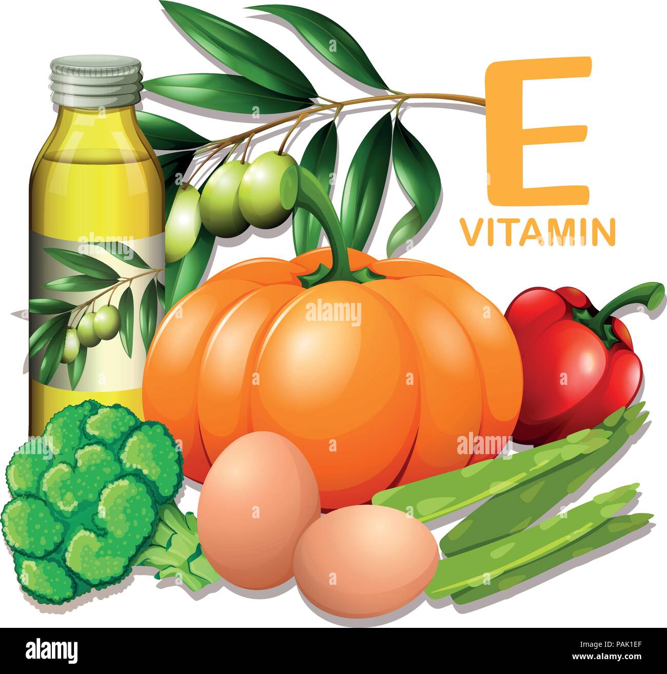 A Set of Vitamin E Food illustration Stock Vector Image & Art Alamy