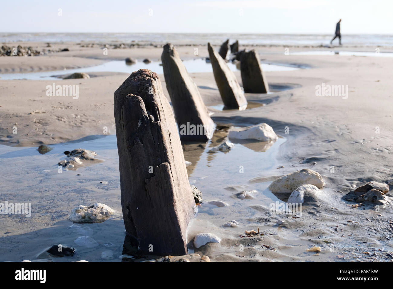 Remains of old sea defences or groynes along the beach at low tide  at East Preston, West Sussex. Locals liken them to sharks' fins Stock Photo