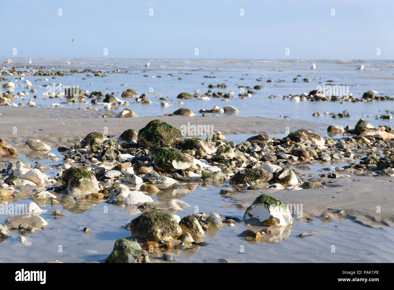 East preston beach hires stock photography and images Alamy