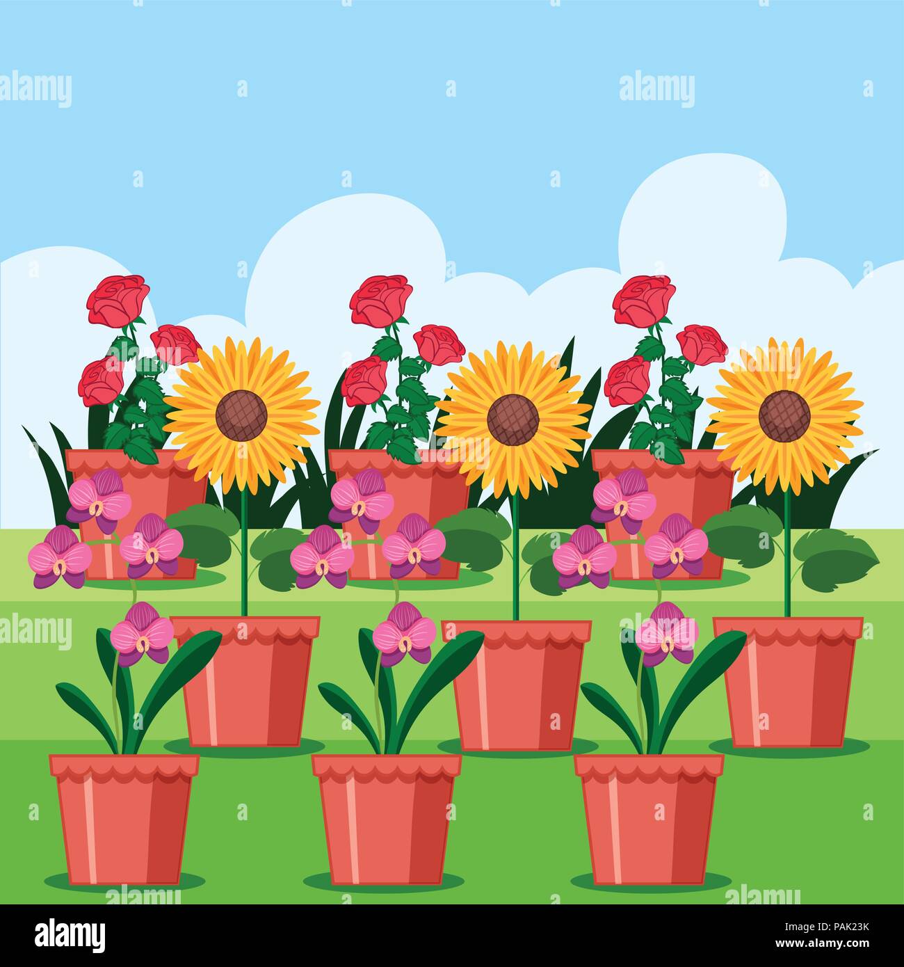A Set of Flower in Pot illustration Stock Vector Image & Art - Alamy
