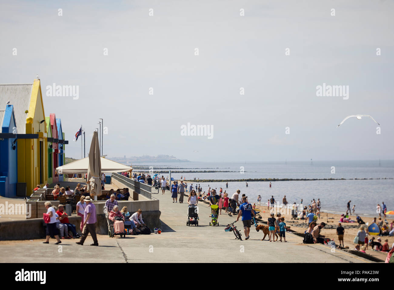 Prestatyn seaside coatal resort town Denbighshire, Wales. Historically  Flintshire,  central beech on the promenade Stock Photo