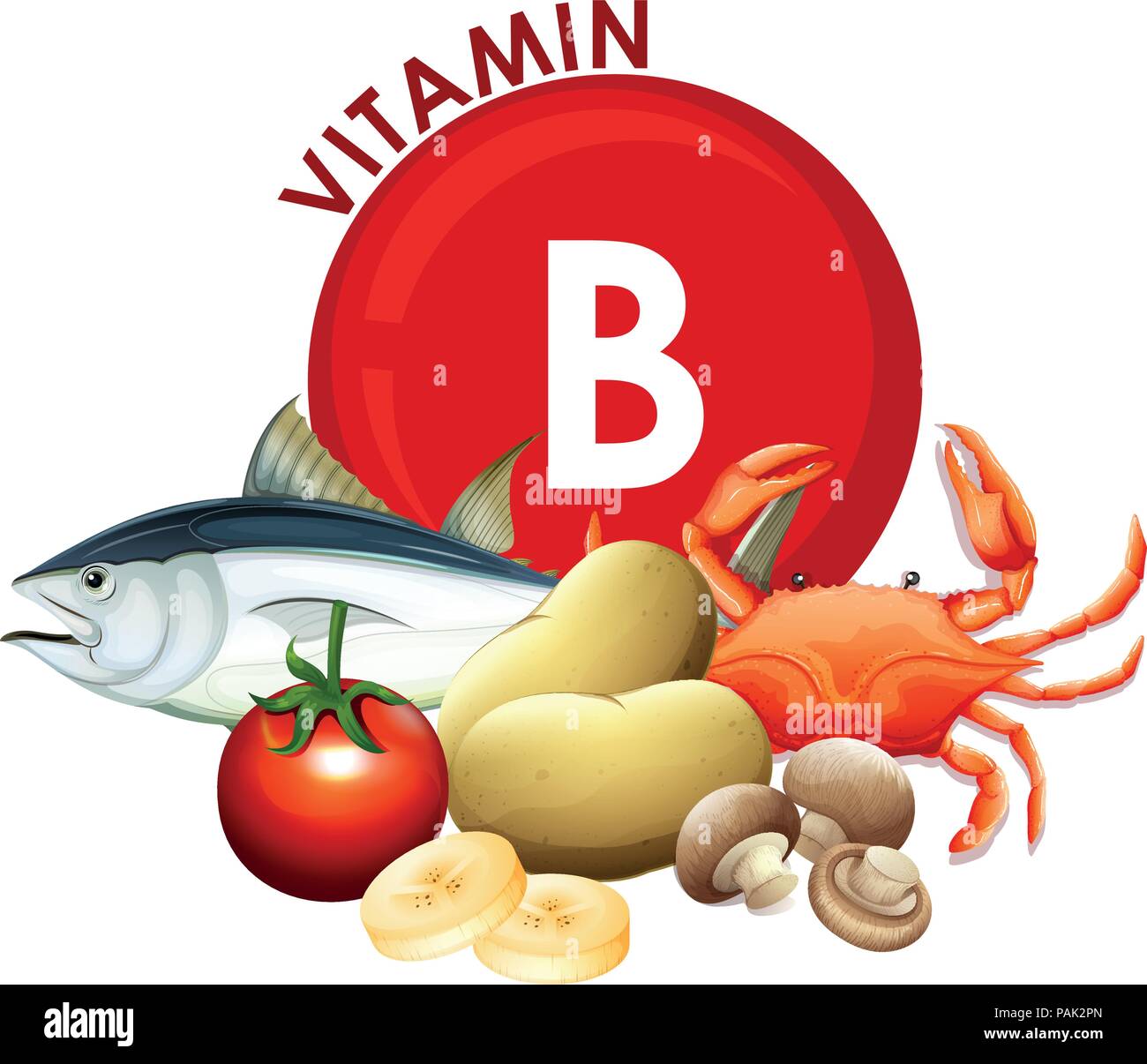 A Set of Vitamin B Food illustration Stock Vector
