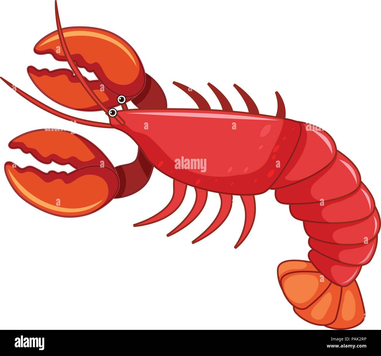 A large red lobster illustration Stock Vector Image & Art - Alamy