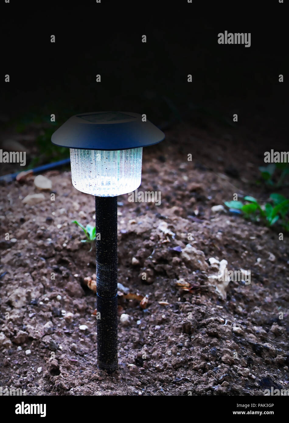 Solar decorative spot light Spotlight put in ground in garden Stock