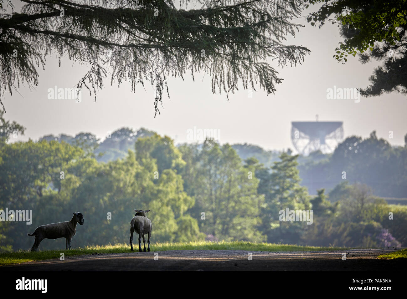 Chelford village and civil parish in Cheshire, near by attraction