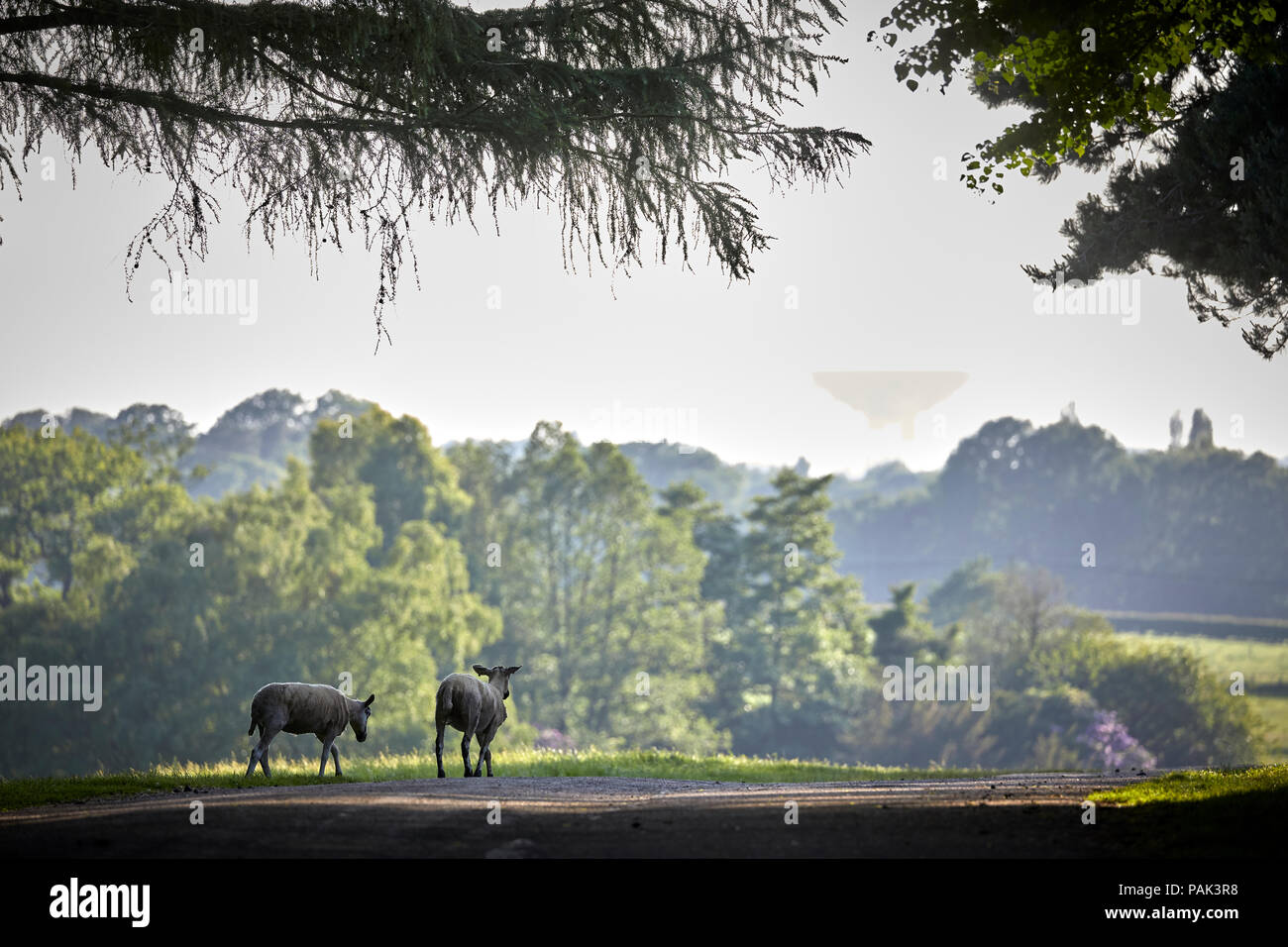 Chelford village and civil parish in Cheshire, near by attraction