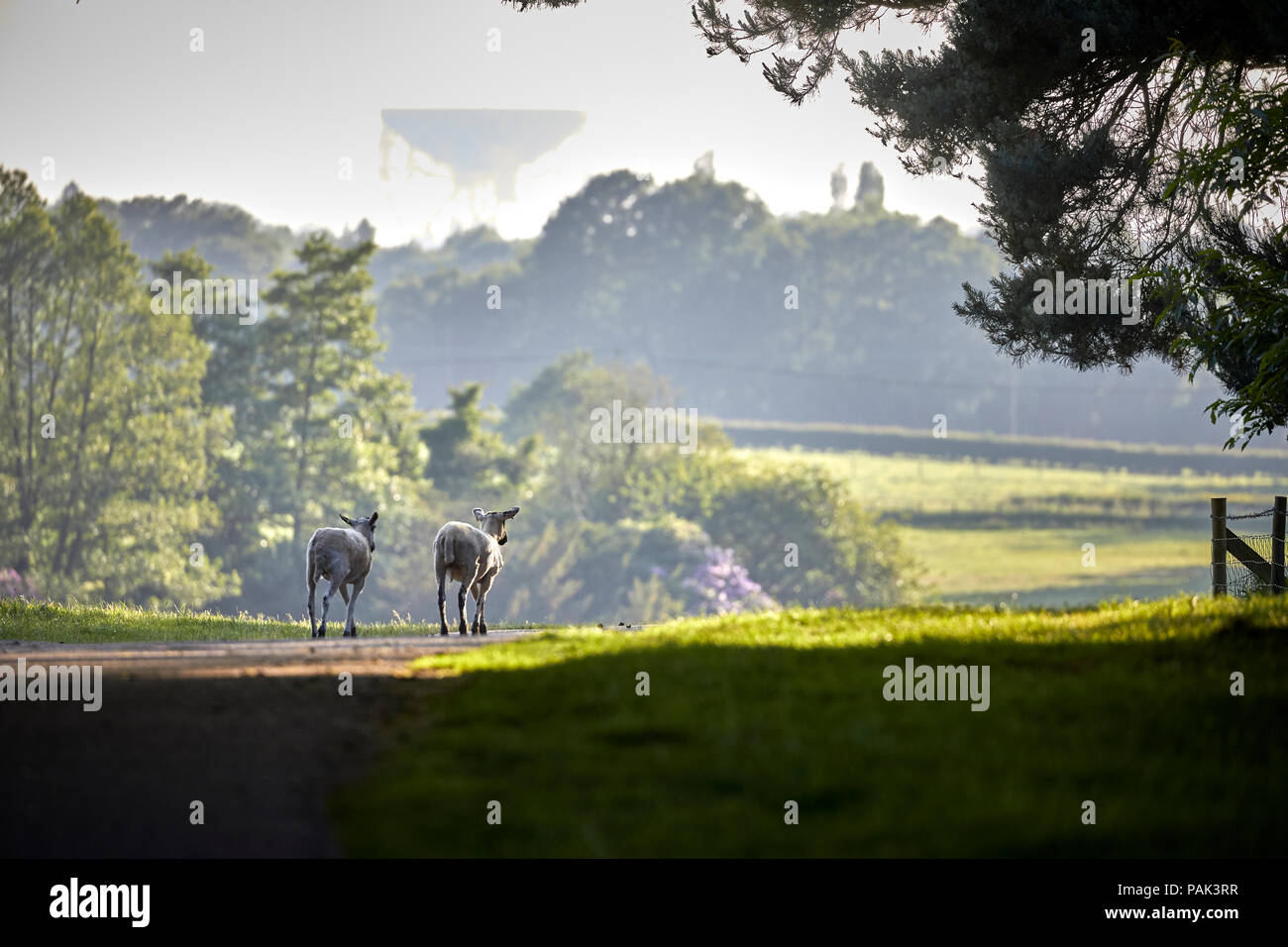 Chelford village and civil parish in Cheshire, near by attraction