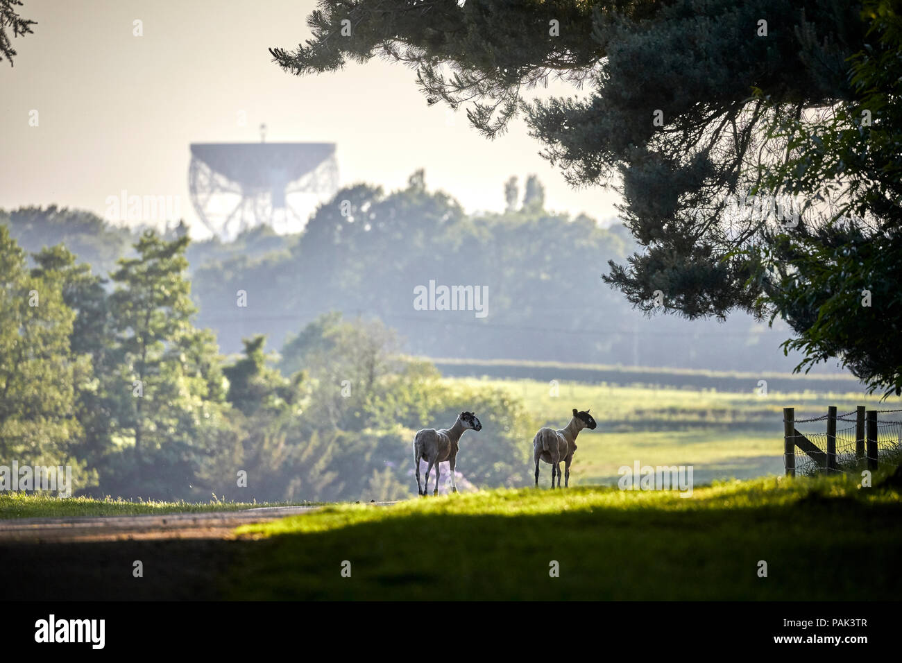Chelford village and civil parish in Cheshire, near by attraction