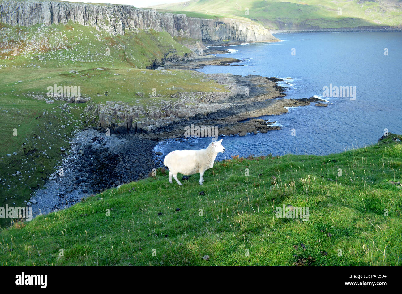 Beautiful lush green landscape in Isle of Skye, Scotland Stock Photo ...