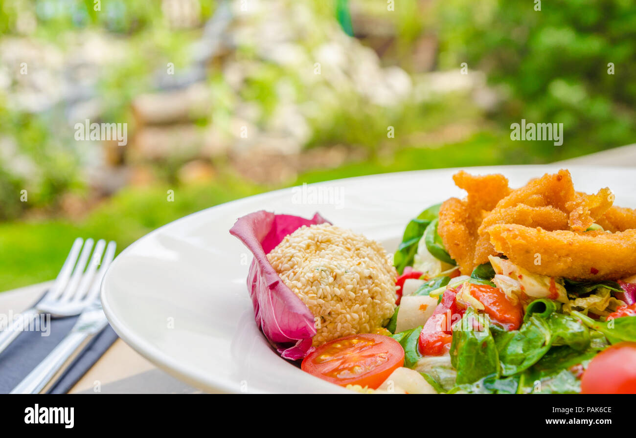 Fresh green salad with lettuce cabage chicken and mozarella balls on a stylish white plate at a garden terrace with a green background Stock Photo