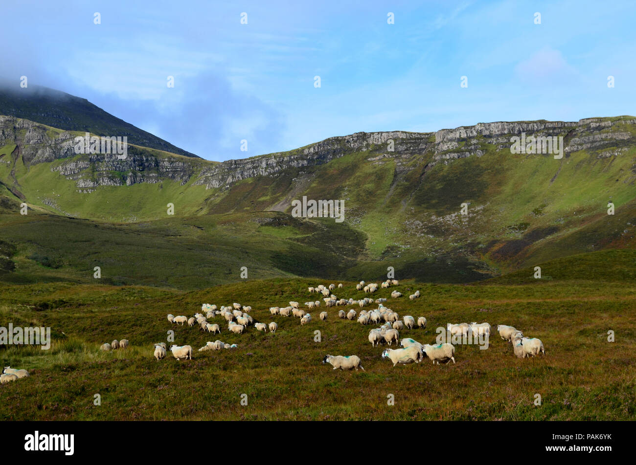 Beautiful green highlands in the Isle of Skye Stock Photo Alamy