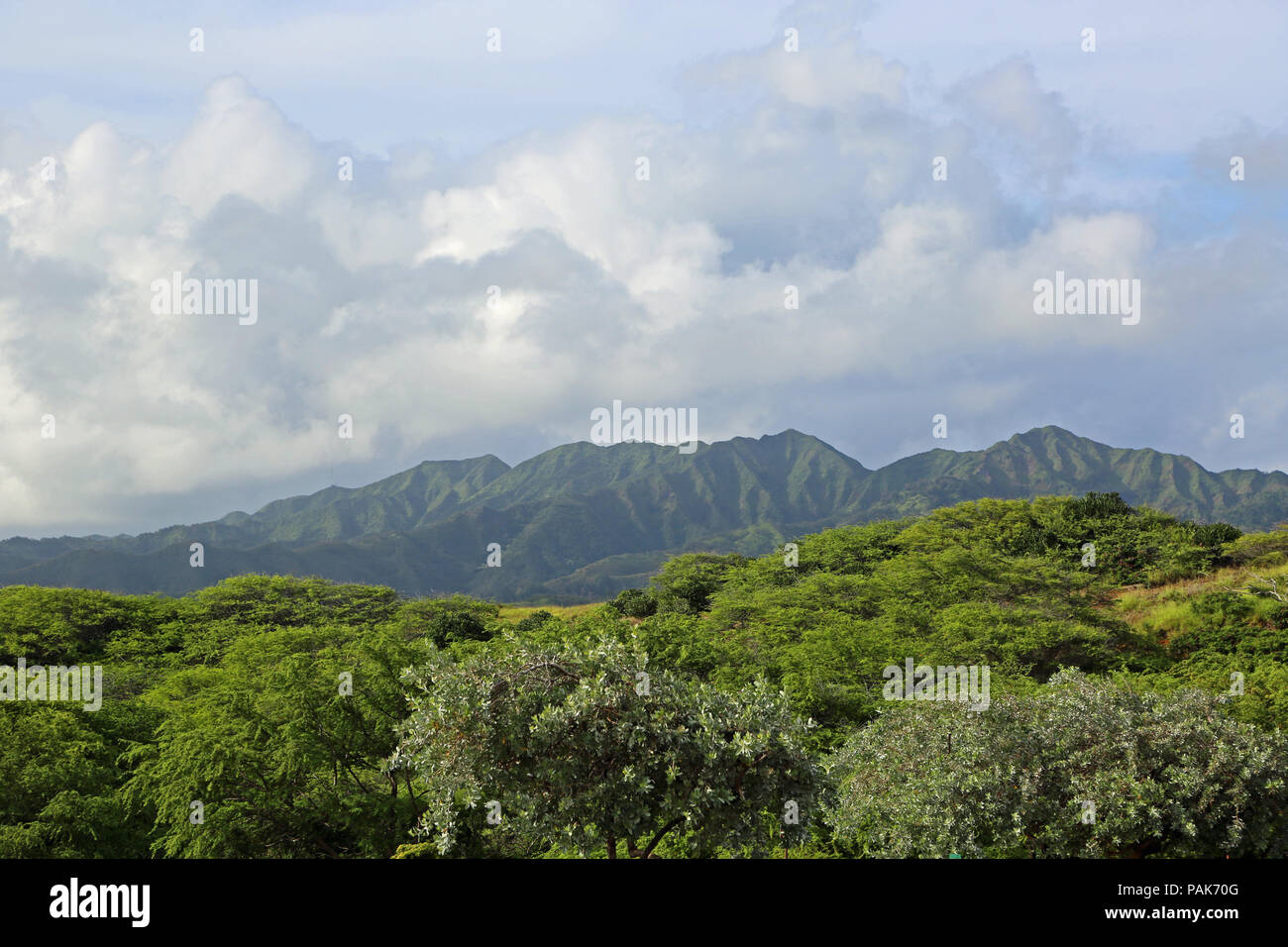 Green Landscape Of Oahu Hawaii Stock Photo Alamy green-landscape-of-oahu-hawaii-stock-photo-alamy
