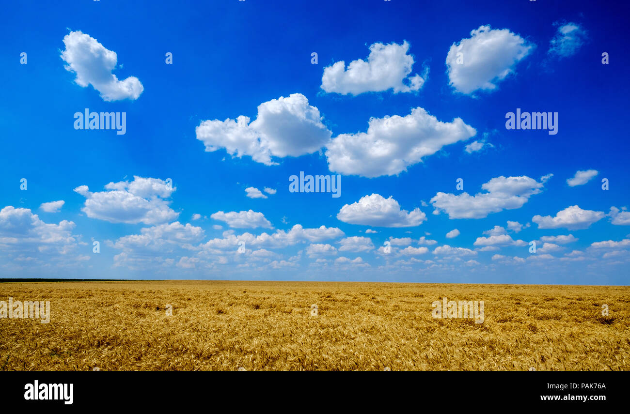 Summer Skies In The Somme Valley, Northern France Stock Photo - Alamy