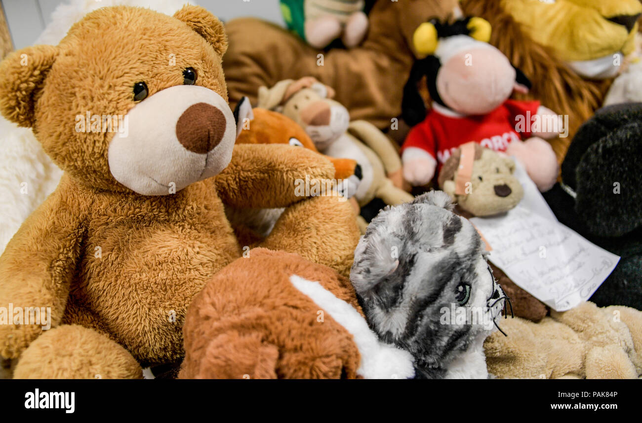 wall of stuffed animals