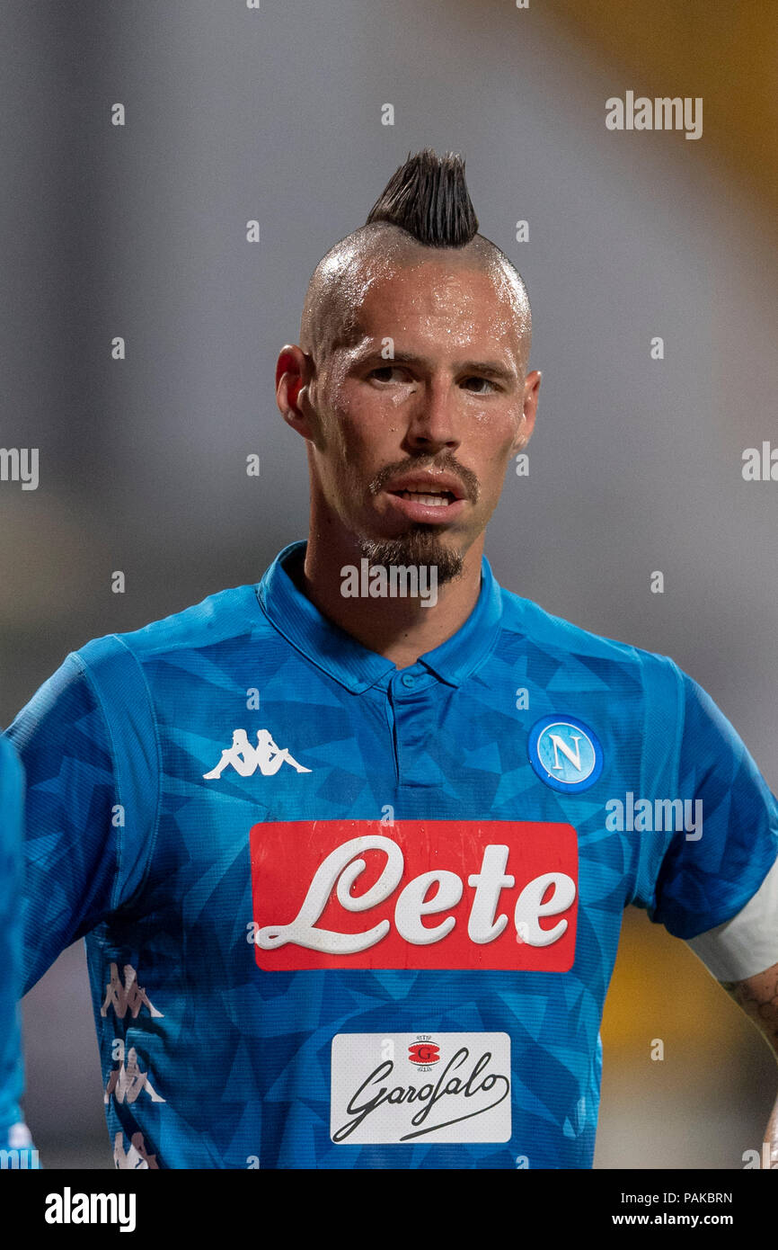 Page 3 Hamsik High Resolution Stock Photography And Images Alamy