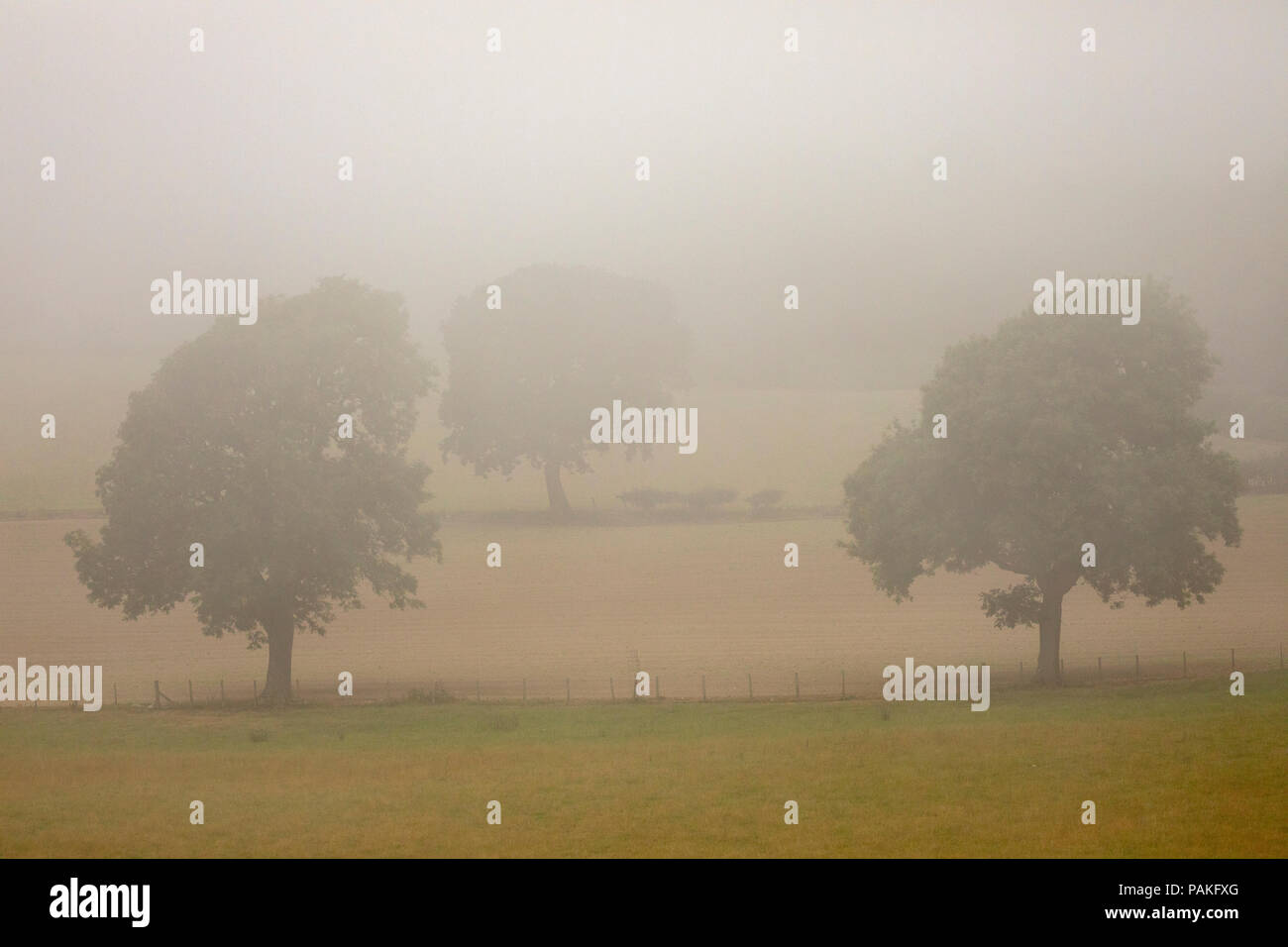 Asaph hires stock photography and images Alamy