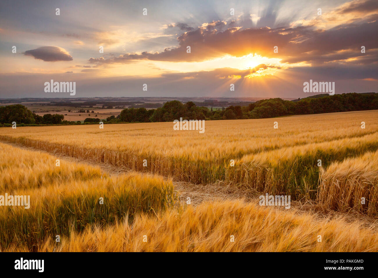 Saxby All Saints, North Lincolnshire, UK. 23rd July 2018.  UK Weather: The sun bursts through clouds above the Ancholme Valley just before sunset on another hot summer day. Saxby All Saints, North Lincolnshire, UK. 23rd July 2018. Credit: LEE BEEL/Alamy Live News Stock Photo