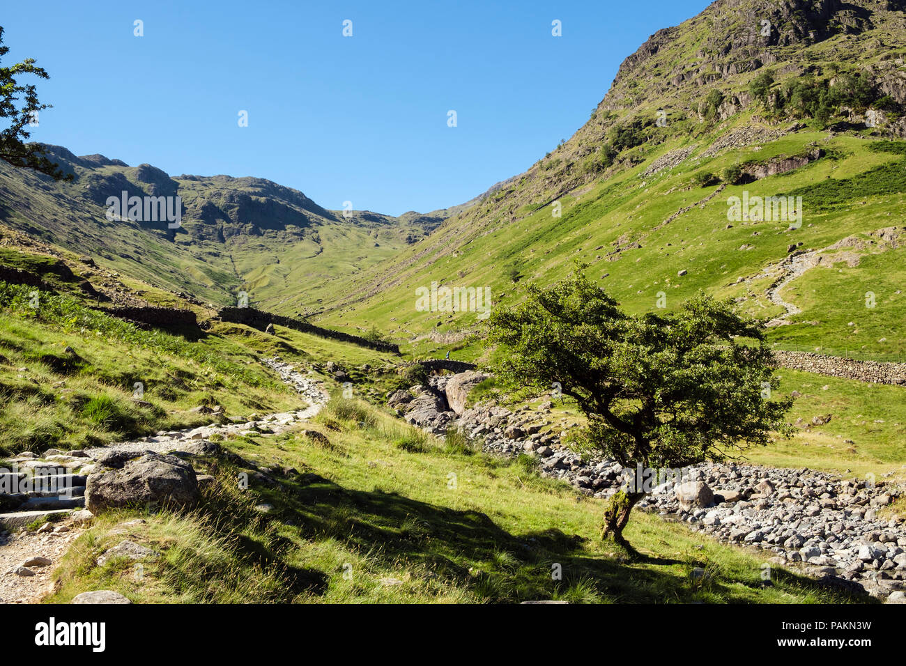 Track to Stockley Bridge from Seathwaite in the Lake District National Park fells, Borrowdale, Cumbria, England, UK, Britain Stock Photo