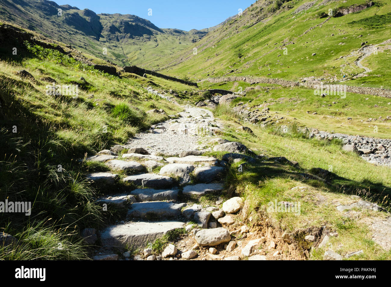 Track to Stockley Bridge from Seathwaite in mountains of Lake District National Park, Borrowdale, Cumbria, England, UK, Britain Stock Photo