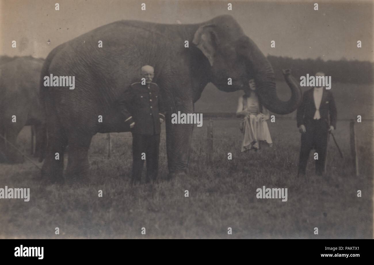 Vintage Photograph of a Circus Elephant With a Lady Being Held Inside it's Mouth and Animal Trainers Stock Photo