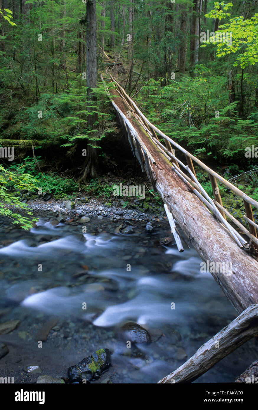 Hiker bridge near South Breitenbush National Recreation Trail