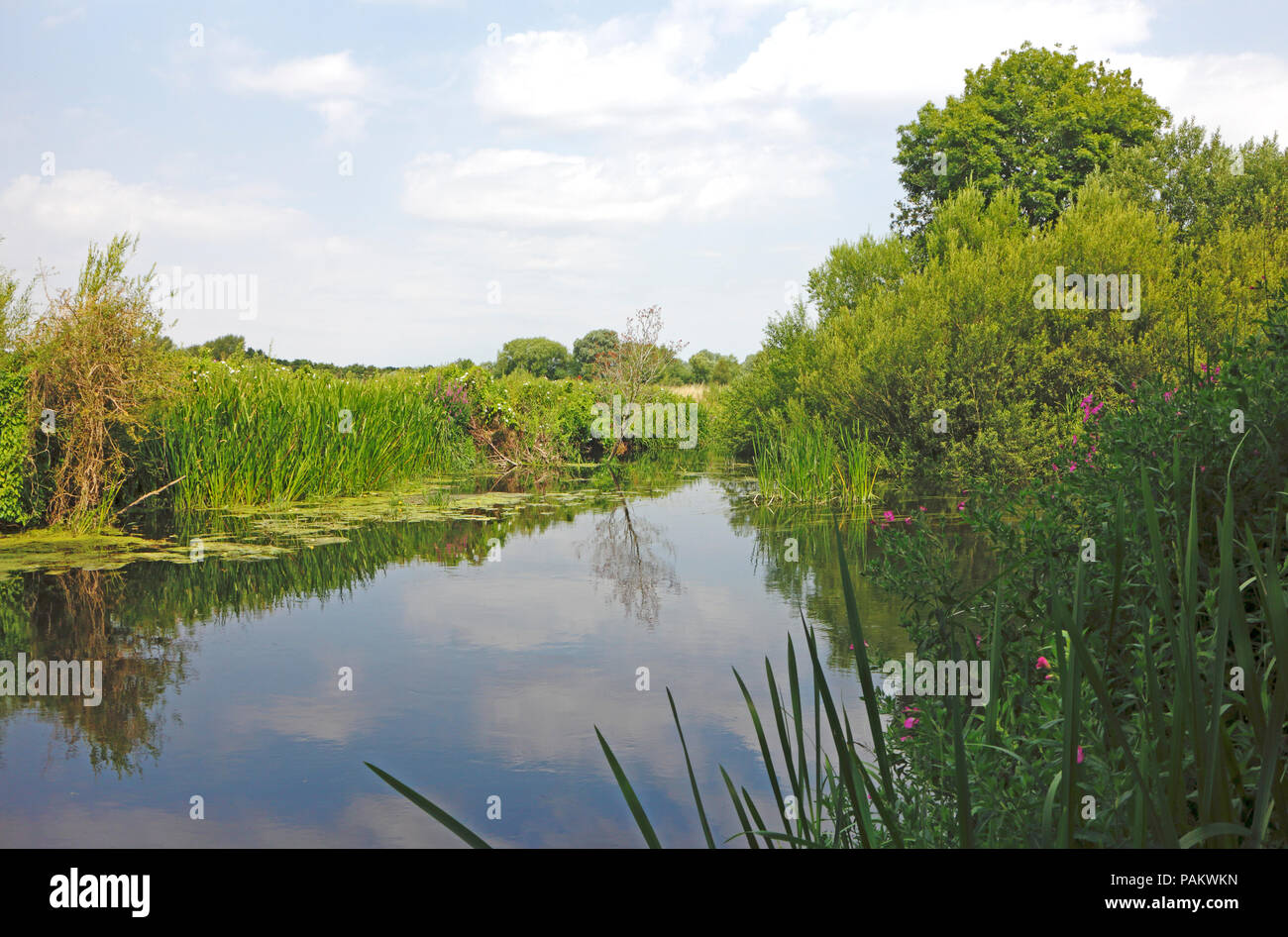 Chalk stream fed river hires stock photography and images Alamy