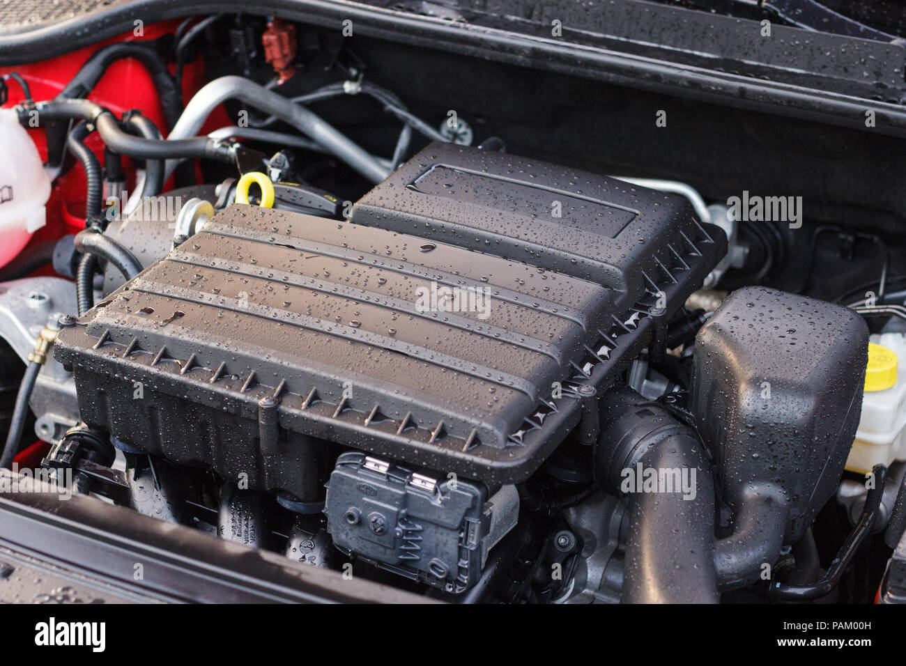 Washed car engine, the concept of care for the elements under the hood