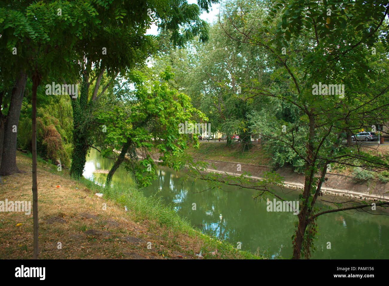 Trees on the bank of the river Stock Photo - Alamy