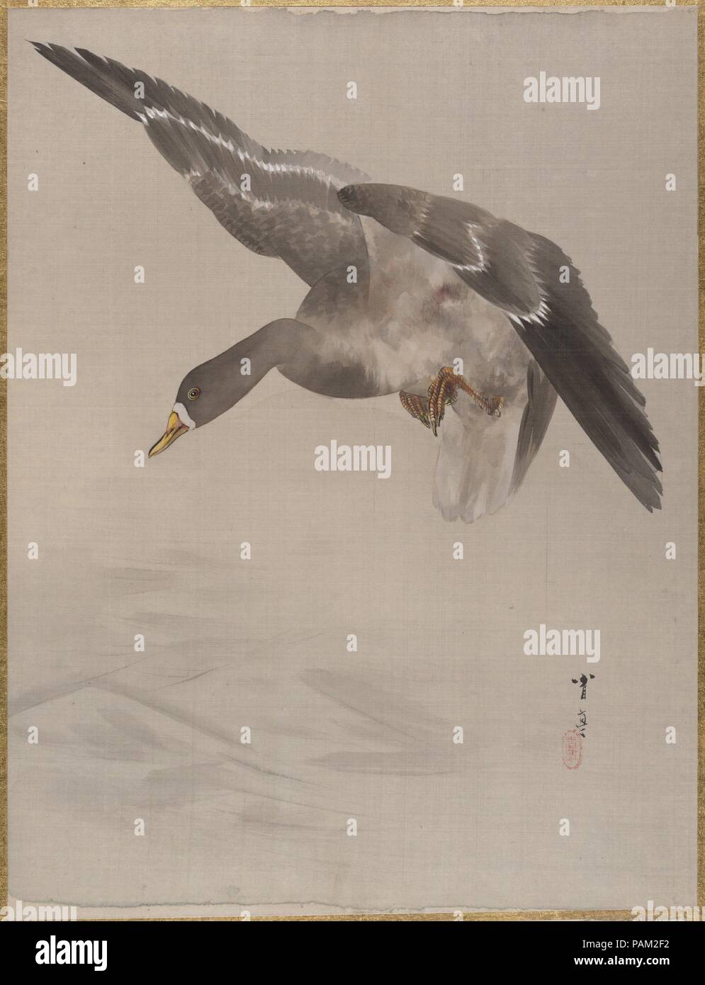 Duck. Artist: Watanabe Seitei (Japanese, 1851-1918). Culture: Japan. Dimensions: 14 1/8 x 10 3/4 in. (35.9 x 27.3 cm). Date: ca. 1887. Museum: Metropolitan Museum of Art, New York, USA. Stock Photo
