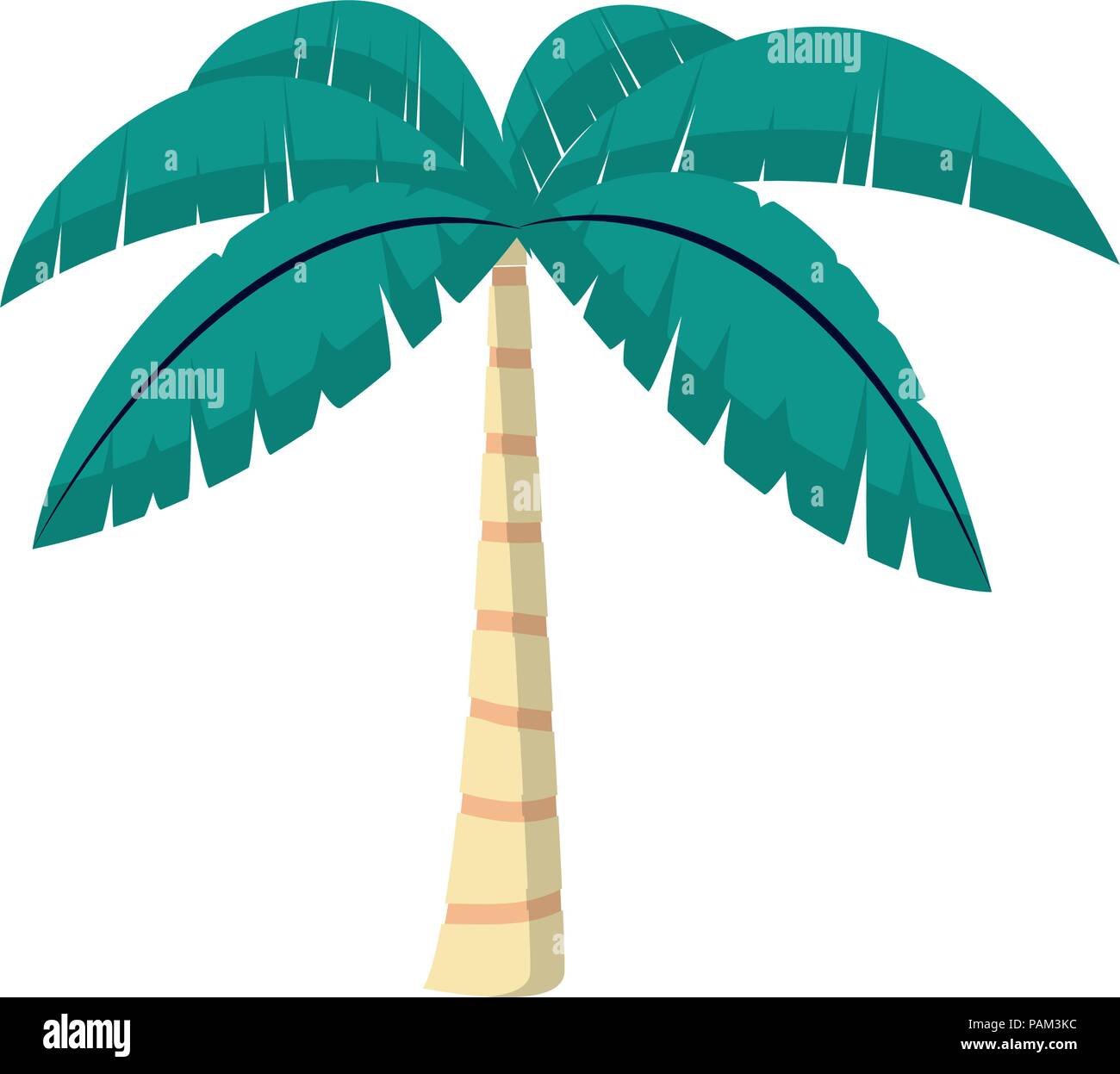 exotic palm with tropical tree leaves Stock Vector