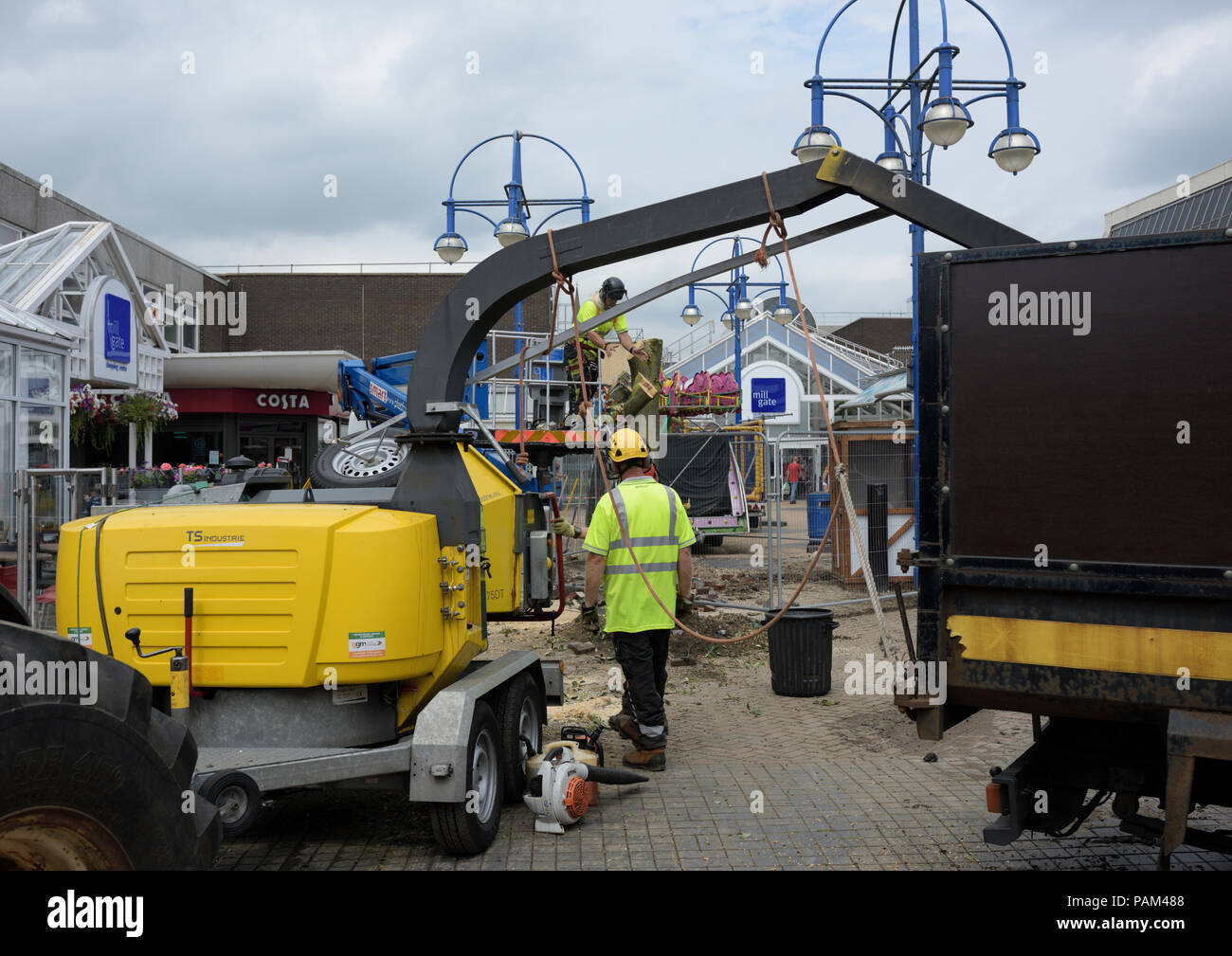 Men cutting down tree with machinery in foreground Stock Photo - Alamy