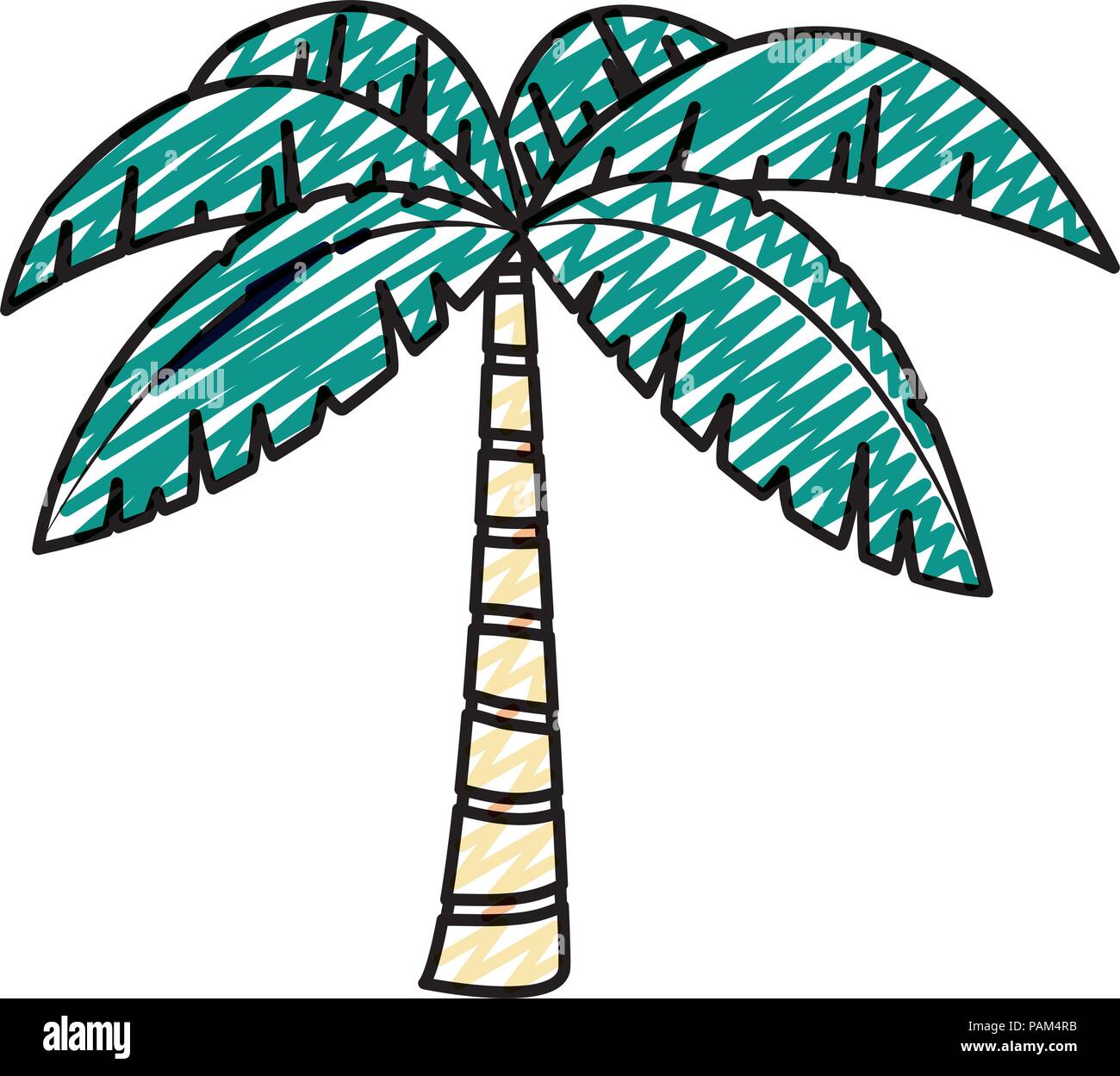doodle exotic palm with tropical tree leaves Stock Vector
