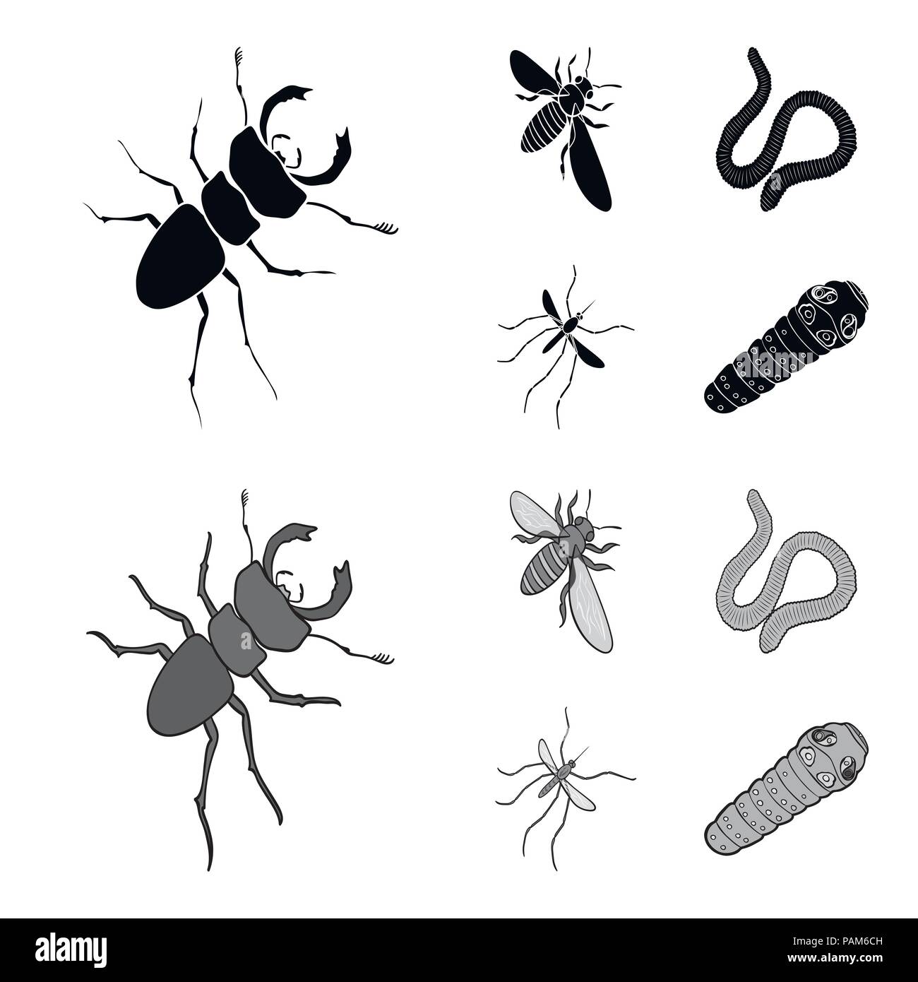 Arthropods insect mosquito, bee.Earth worm, caterpillar,vermicular set collection icons in black,monochrom style vector symbol stock isometric illustr Stock Vector