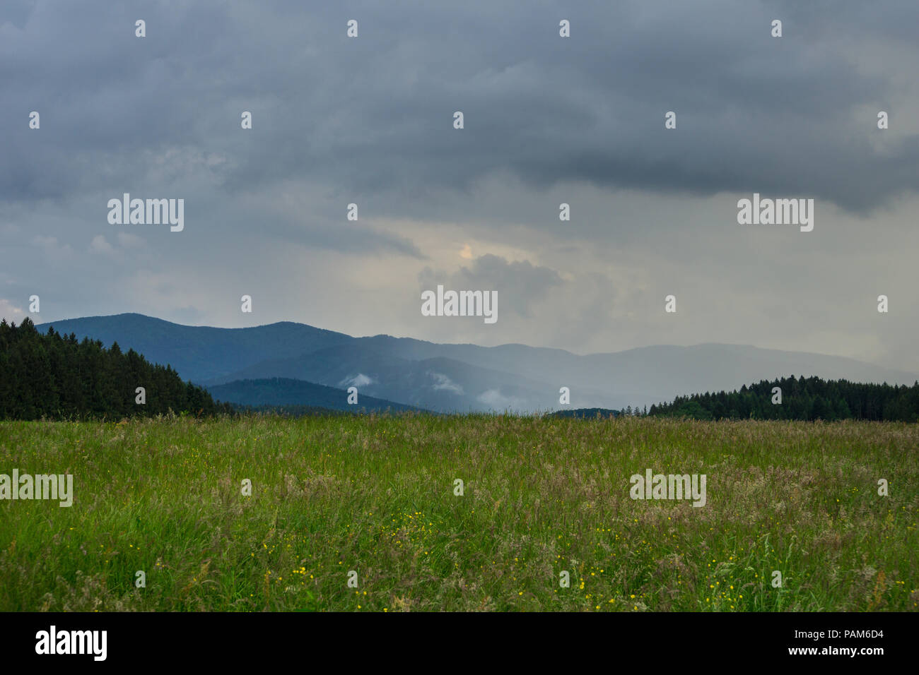 Germany, Thundery extreme hot summer weather mood in black forest nature landscape Stock Photo