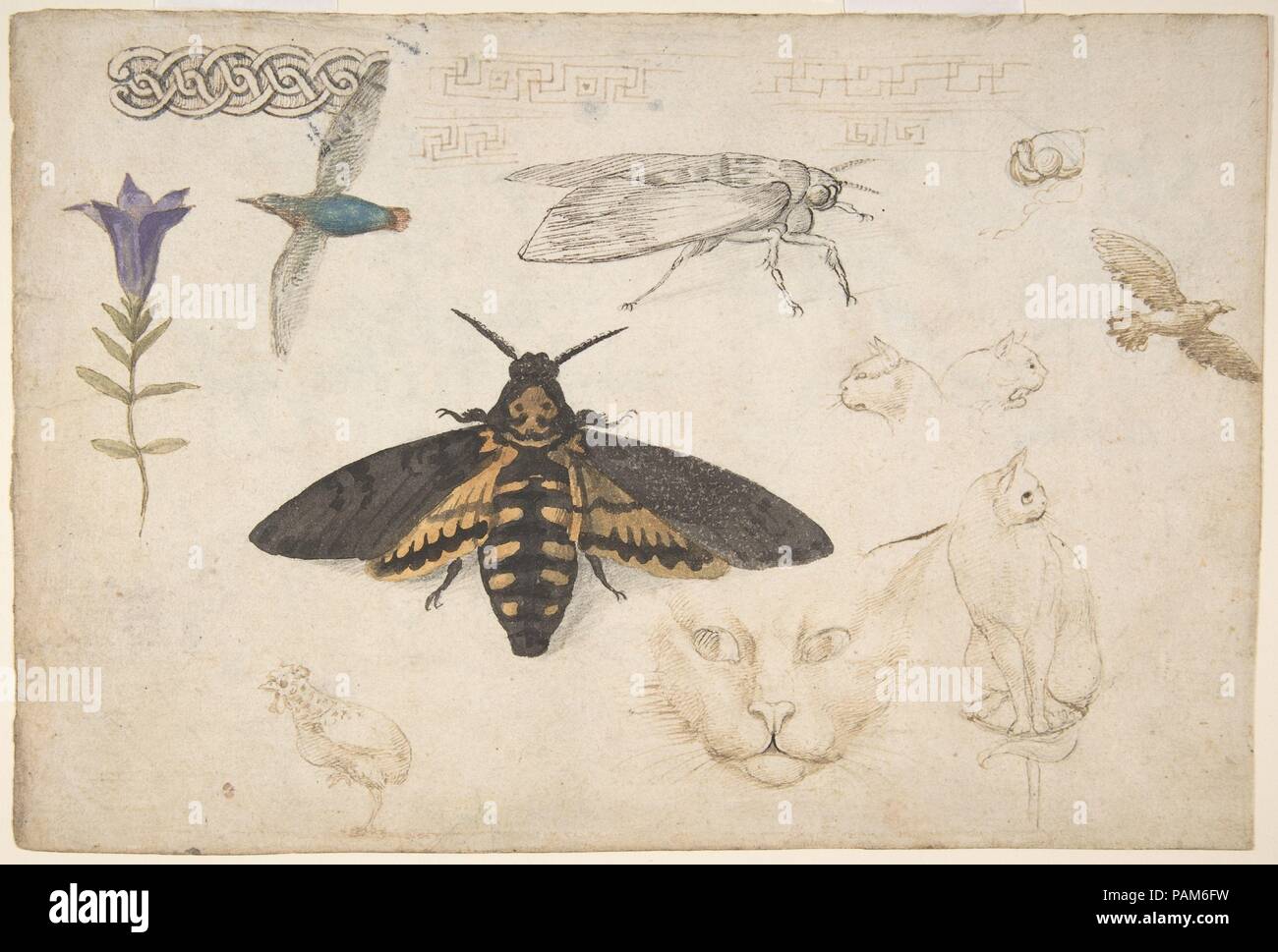 The moth new york hi-res stock photography and images - Page 2 - Alamy