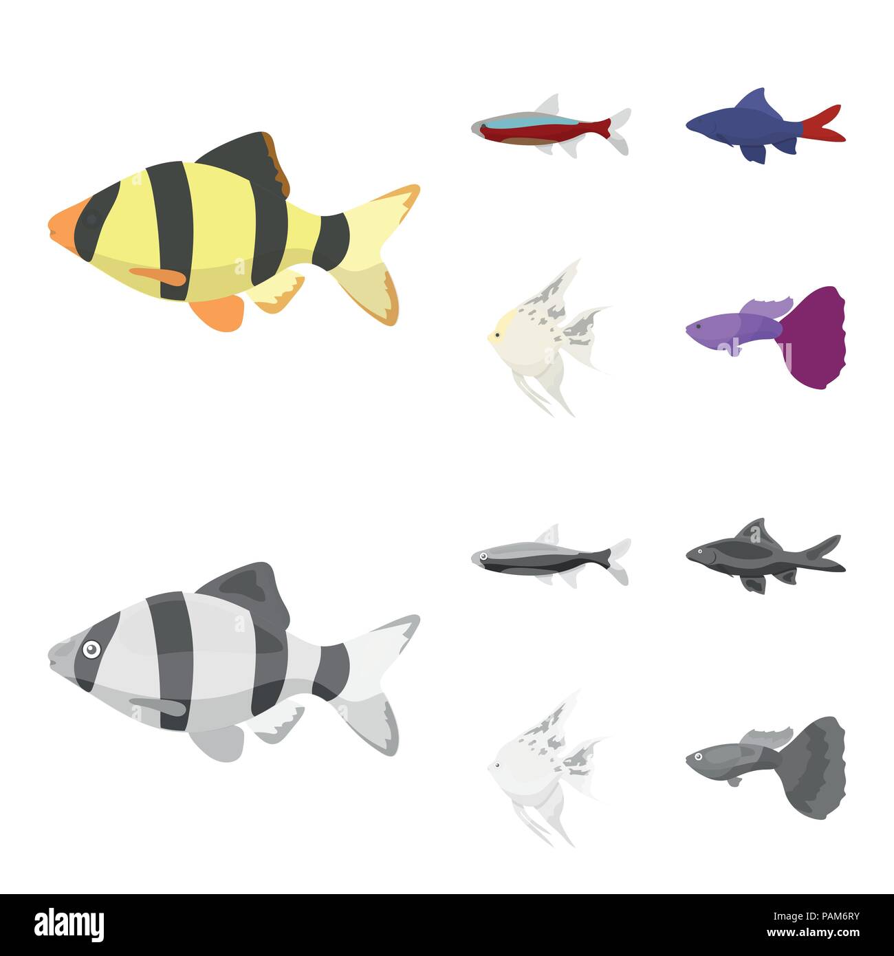Angelfish, common, barbus, neon.Fish set collection icons in cartoon,monochrome style vector symbol stock illustration . Stock Vector