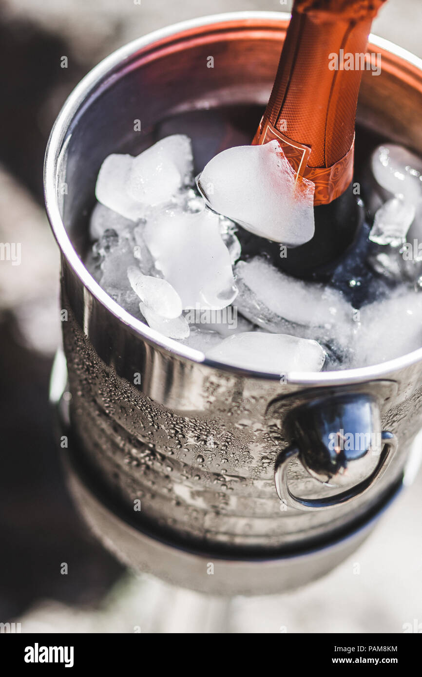 Bottle of champagne in an ice bucket Stock Photo Alamy