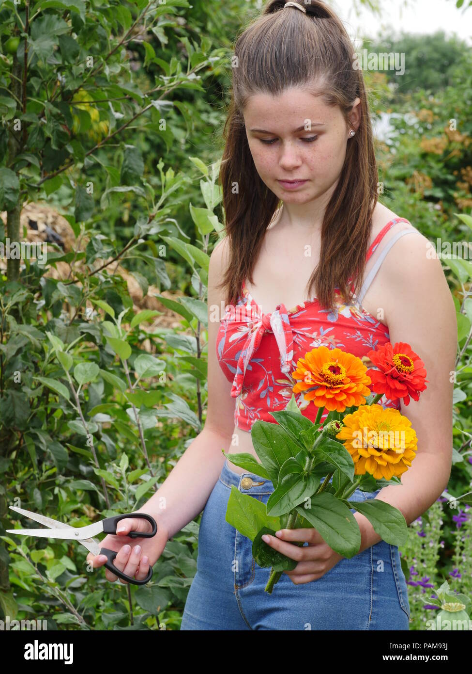 Girl cutting flowers in garden Stock Photo