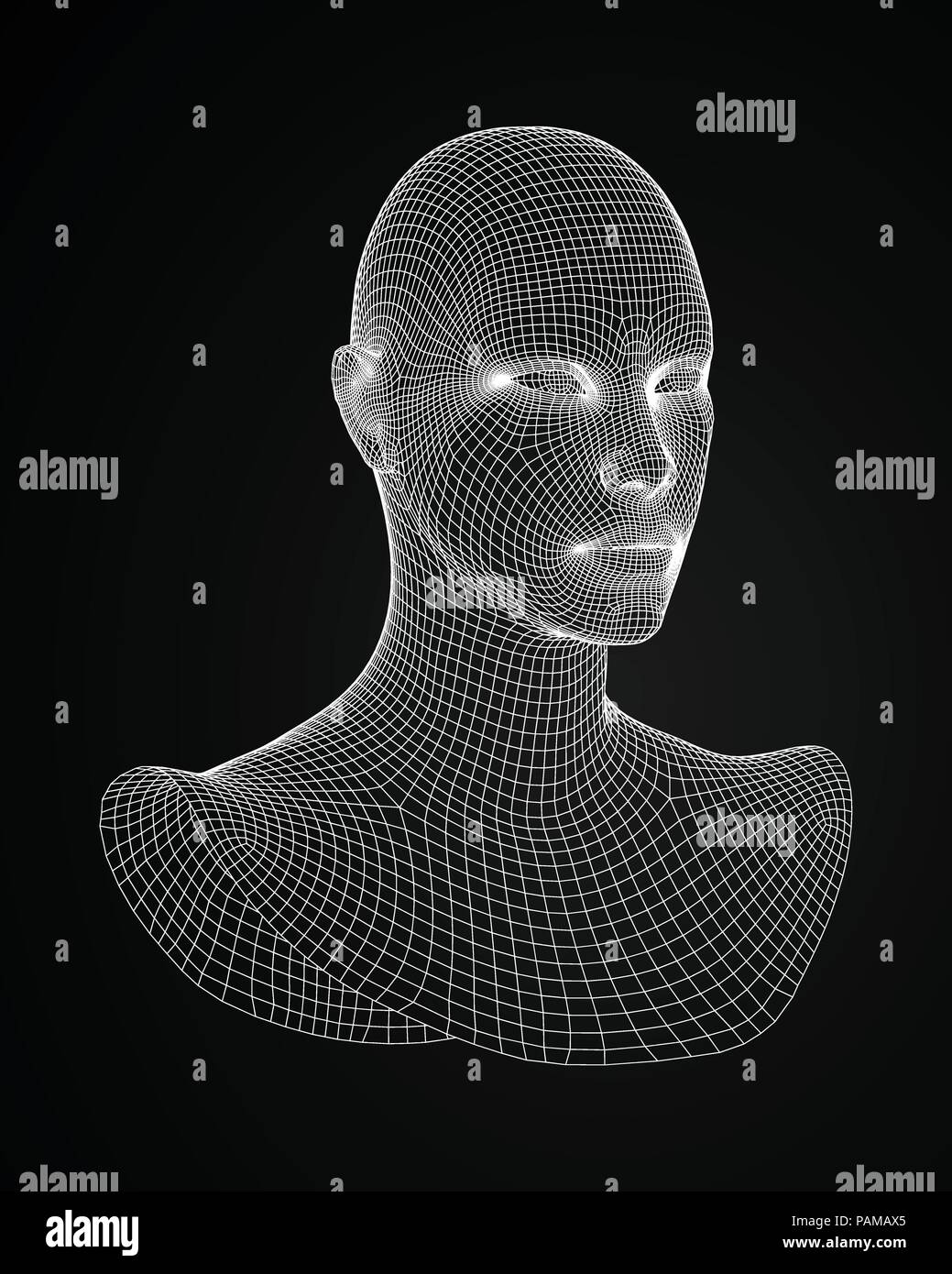 3d head wireframe vector. Drawing of wireframe head 3d model. Vector