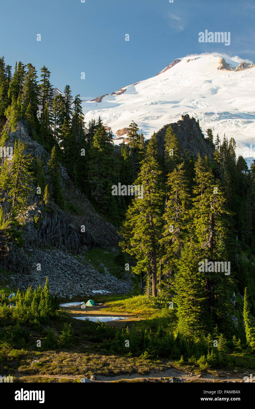 Mount Baker from Park Butte in Mount Baker National Recreation Area. Stock Photo