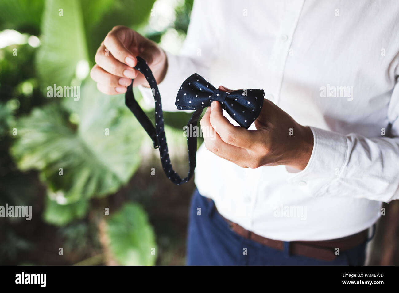 Man holding bowtie and prepare to wear it, getting ready for wedding Stock Photo Alamy