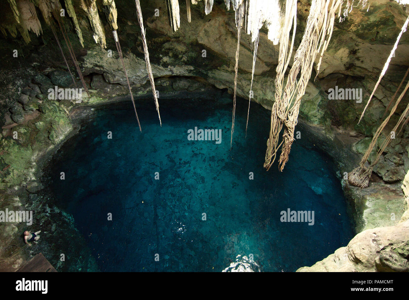 Top view of a cenote (underground river sinkhole) in Cuzamá, Yucatán ...