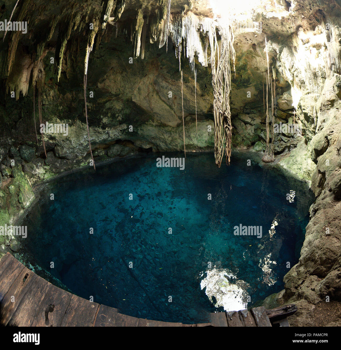 Top view of a cenote (underground river sinkhole) in Cuzamá, Yucatán, Mexico Stock Photo