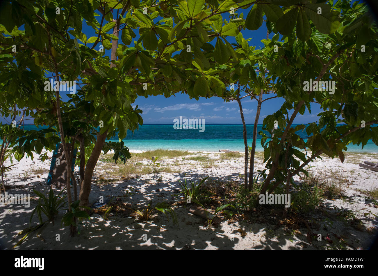 Turquoise sea view through a clearing in the vibrant beach foliage on Bounty Beach, Malapascua - Cebu Stock Photo