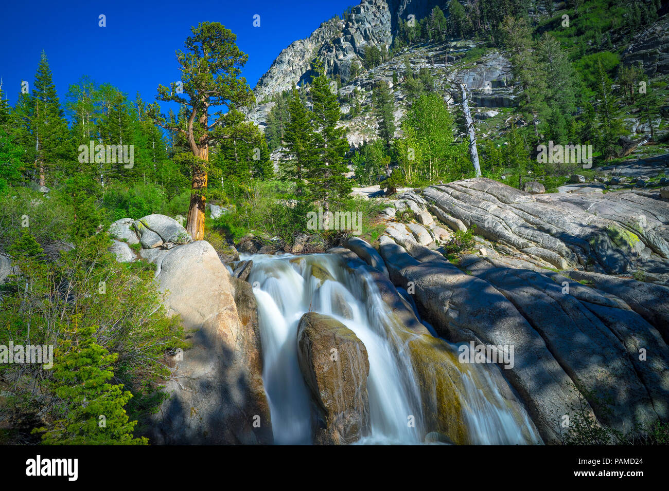 Stunning high Sierra forest landscape with smooth flowing falls - Highway 108 Roadside Stock Photo